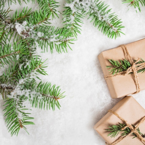 Winning the Holiday Season on Social Webinar